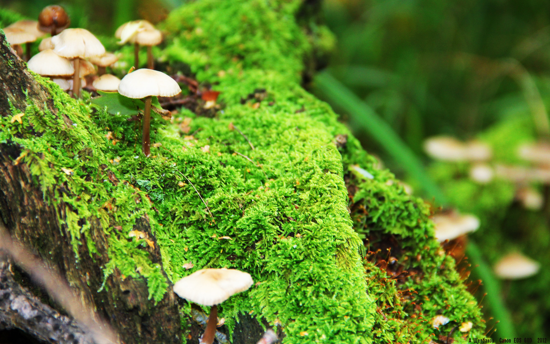 星空体育首页登录-中国男篮专注细节调整 持续优化战术体系，中国男篮最新的道具