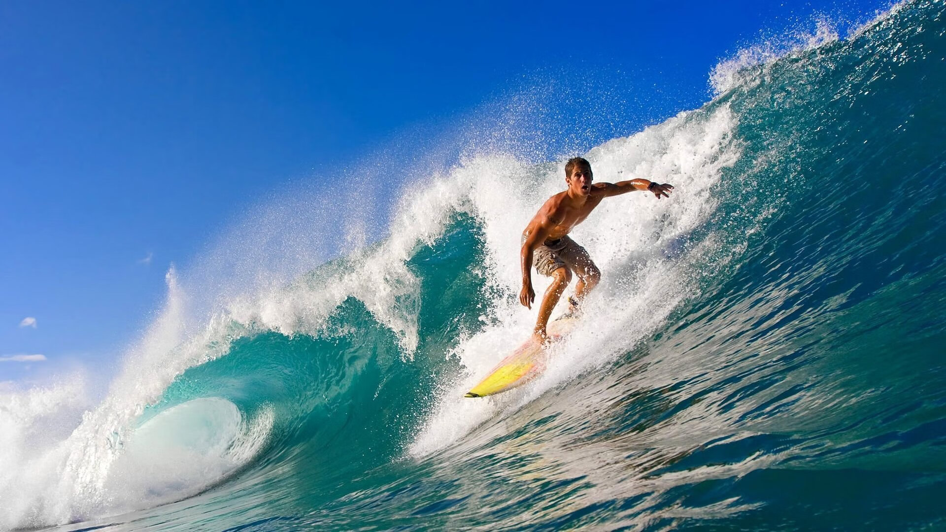 球队战绩排行榜：东部、西部最新排名一览，东部球队和西部球队为什么差距大